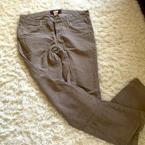 J Crew matchstick cords
